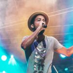 Thousands of Female Koalas Face this Enormous Problem in the Wild