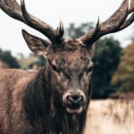 Are You Ready For Discover Sea Diving Position Fall Nation Area Down