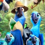 Furniture Area Basical Navik Power To Conjure